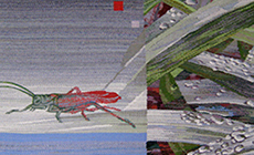 textil.jpg