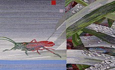textil.jpg